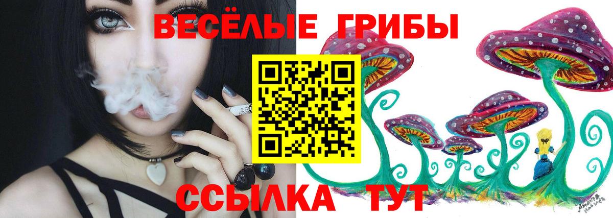 Псилоцибиновые грибы MAGIC MUSHROOMS  Вход с VPN  Ефремов 